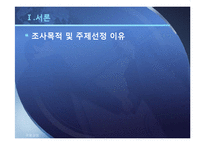 [국제경영] 모나미 MonAmi 국제경영전략-3