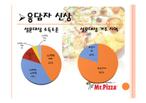 [소비자행동] 미스터피자의 인지도 및 만족도 조사-10