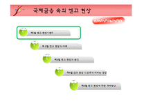 [국제금융론] 국제금융 속의 엔고현상-2