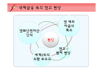 [국제금융론] 국제금융 속의 엔고현상-9