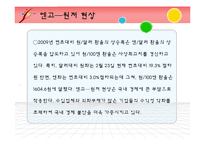 [국제금융론] 국제금융 속의 엔고현상-13