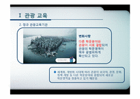 [관광학원론] 제11장 관광교육과 관광서비스 자격제도-5