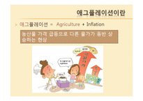 [투자론] 애그플레이션의 영향과 대응방향-3