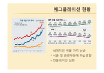 [투자론] 애그플레이션의 영향과 대응방향-4