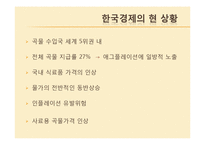 [투자론] 애그플레이션의 영향과 대응방향-17