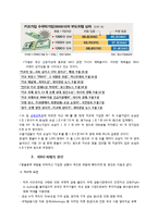 키코 KIKO의 피해 현황, 원인 향후 개선 방안-3