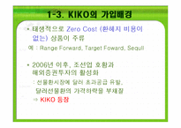 키코 KIKO의 피해 현황, 원인 향후 개선 방안-7