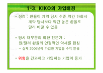 키코 KIKO의 피해 현황, 원인 향후 개선 방안-8