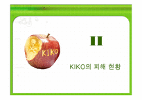 키코 KIKO의 피해 현황, 원인 향후 개선 방안-9
