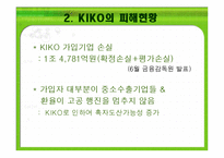 키코 KIKO의 피해 현황, 원인 향후 개선 방안-10
