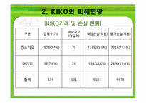 키코 KIKO의 피해 현황, 원인 향후 개선 방안-11