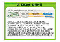 키코 KIKO의 피해 현황, 원인 향후 개선 방안-12