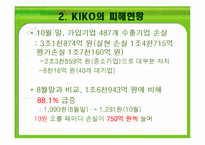 키코 KIKO의 피해 현황, 원인 향후 개선 방안-13