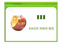 키코 KIKO의 피해 현황, 원인 향후 개선 방안-14