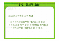 키코 KIKO의 피해 현황, 원인 향후 개선 방안-17
