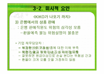 키코 KIKO의 피해 현황, 원인 향후 개선 방안-20