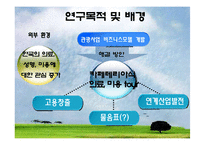 [마케팅] 일본인 관광객 유치를 위한 상품개발-3