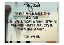 [마케팅] 일본인 관광객 유치를 위한 상품개발-15