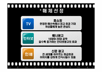 [광고기획론] 호신용품 광고기획서-19