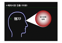 쿠쿠 성공 전략 및 마케팅 전략, 해외시장 진출 전략-20