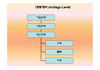 [생산관리] 광동제약 비타500 생산전략-4