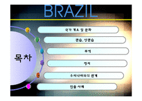 [국제기업환경론] 브라질-3