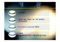 [국제기업환경론] 브라질-7
