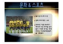 [국제기업환경론] 브라질-11