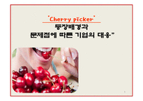 [소비자와 시장] 체리피커(Cherry picker) 등장배경과 문제점에 따른 기업의 대응-1