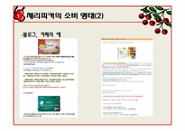 [소비자와 시장] 체리피커(Cherry picker) 등장배경과 문제점에 따른 기업의 대응-8