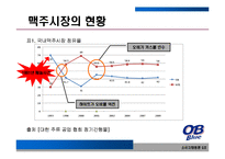 [소비자행동] OB블루(오비맥주) BLUE 의 재포지셔닝 방안-3