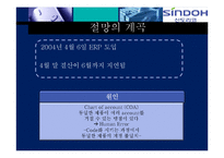 [mis] 신도리코 경영정보시스템-15