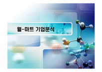 [유통관리] 월마트 기업분석-1