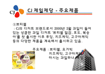 [경영학] 기업의 사회적 책임과 기업윤리 공과사례 -CJ 제일제당-19