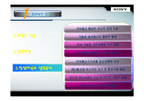 [국제경영론] SONY 소니 기업분석-6