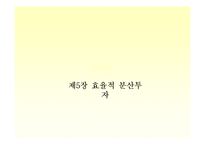 [투자론] 제5장 효율적 분산투자-1