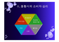 [소비자 행동론] 불황시기의 소비자 심리와 효율적 마케팅 방안-8