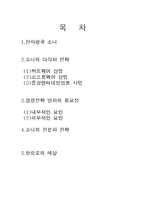 [경영학] 소니의 다각화 철수와 전문화전략-2