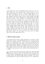 여행사 경영론 패키지 여행상품 개발- 전문직 여성 중서부 유럽 여행상품 개발-2