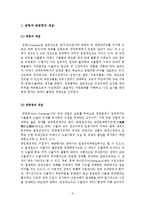 [무역정책] 한중 반덤핑관세부과 사례 및 시사점-3