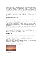 빨리빨리 문화 -마케팅 성공사례 및 분석-5