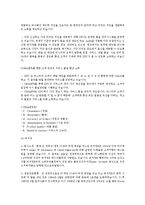빨리빨리 문화 -마케팅 성공사례 및 분석-18