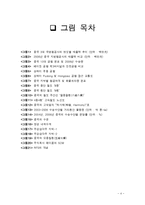 [물류관리] 중국 물류 인프라의 이해 및 사례-4