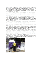 비정규직 시간 강사 실태 조사 및 문제점 분석-11