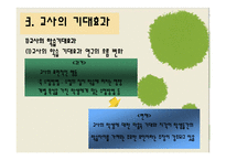 [교육사회학] 제 8장 교사기대와 교육-17
