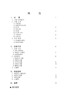 [재무관리] 한국타이어 자본구조와 배당정책-15