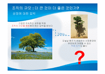[거시조직론] 제8장 조직규모, 조직수명주기와 조직쇠퇴-3