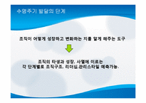 [거시조직론] 제8장 조직규모, 조직수명주기와 조직쇠퇴-7
