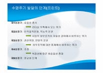 [거시조직론] 제8장 조직규모, 조직수명주기와 조직쇠퇴-9