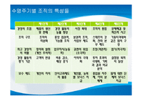 [거시조직론] 제8장 조직규모, 조직수명주기와 조직쇠퇴-10